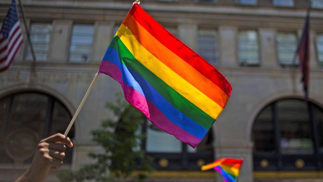 June is Pride month.  We are celebrating by sharing one of our pregnancy success stories.
