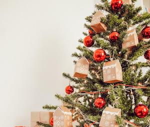 Holiday Pregnancy Announcements