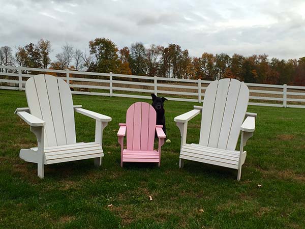 We're having a girl