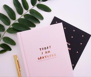 Finding Gratitude this Holiday Season