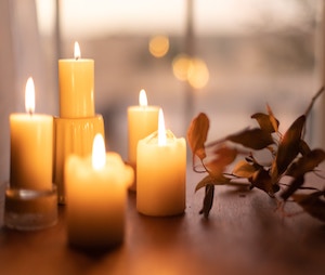Lit Candles and plant